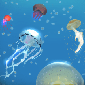 Medusas