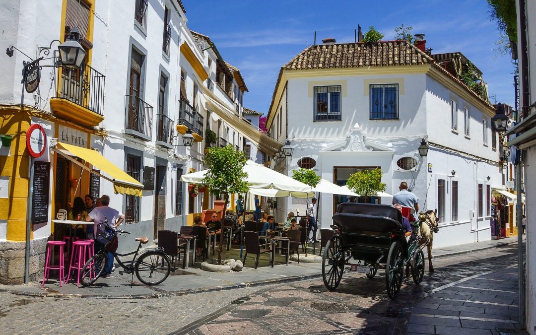 Plan Municipal Movilidad para Bicicletas y vehículos de movilidad personal