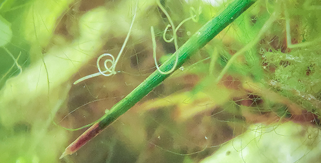 Exposición fotográfica: Del cloro a la biodiversidad