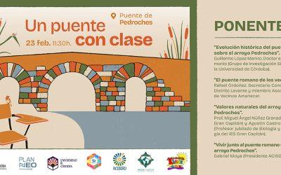 Un puente con clase. Magistral multidisciplinar