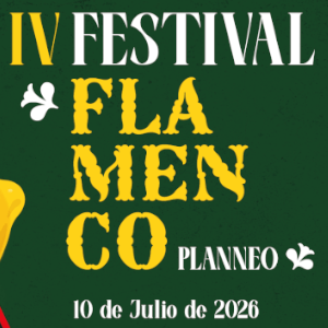 Festival Flamenco Planneo